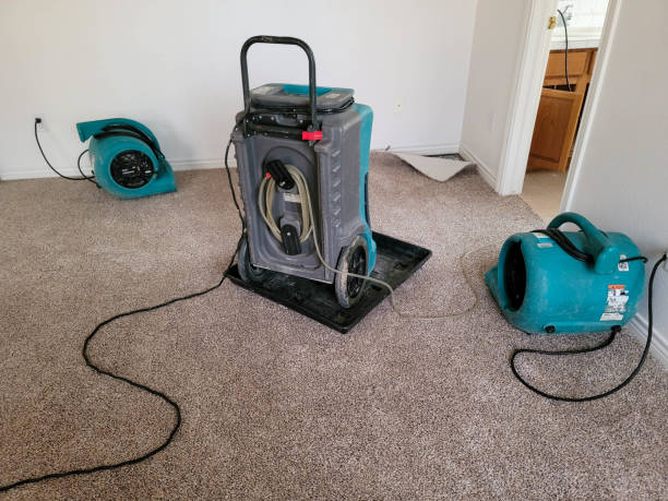 Best Sewage cleanup and water damage restoration  in Centerville, MN