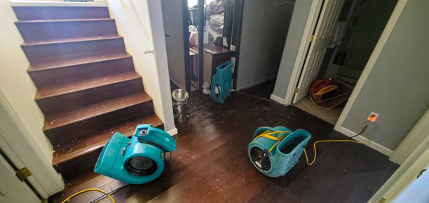 Best Local water damage restoration  in Centerville, MN