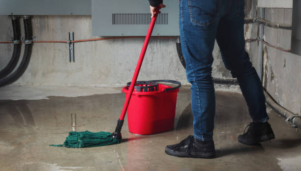 Best Carpet water damage restoration  in Centerville, MN