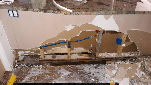 Best Sewage cleanup and water damage restoration  in Centerville, MN
