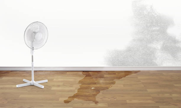 Best Water damage restoration insurance claims  in Centerville, MN