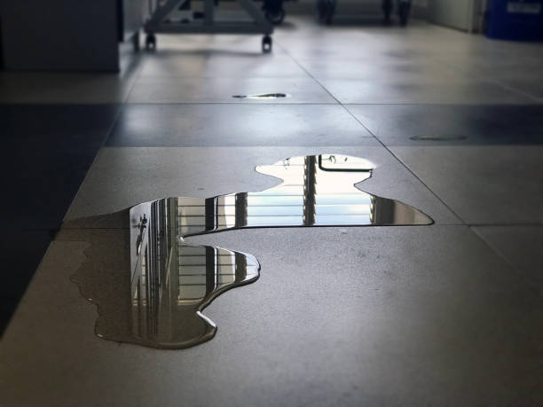 Best Water damage restoration specialists  in Centerville, MN