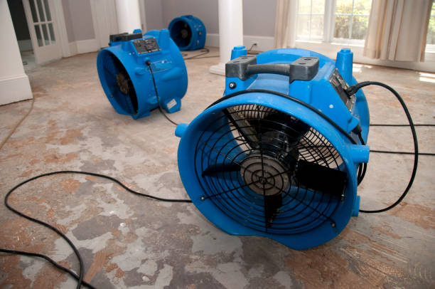 Best Ceiling water damage repair  in Centerville, MN