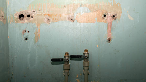 Best Emergency water damage restoration  in Centerville, MN