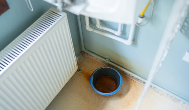 Best Water damage restoration near me  in Centerville, MN