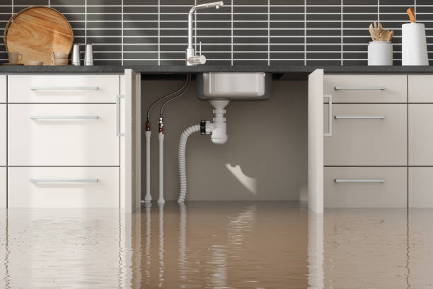 Best Ceiling water damage repair  in Centerville, MN