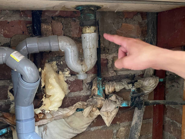 Best Fire Damage Restoration  in Centerville, MN