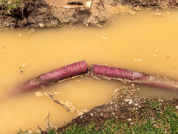 Best Basement water damage restoration  in Centerville, MN
