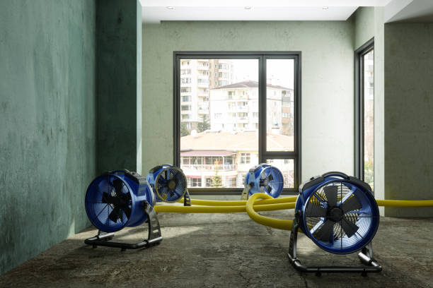 Best Ceiling water damage repair  in Centerville, MN
