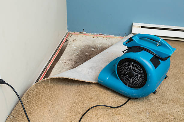 Best Commercial water damage restoration  in Centerville, MN